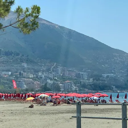 Premium 01 * Vlore